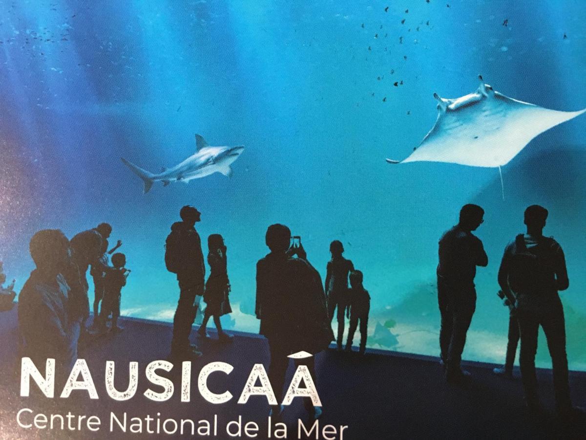 Studio Wimereux Wimereux